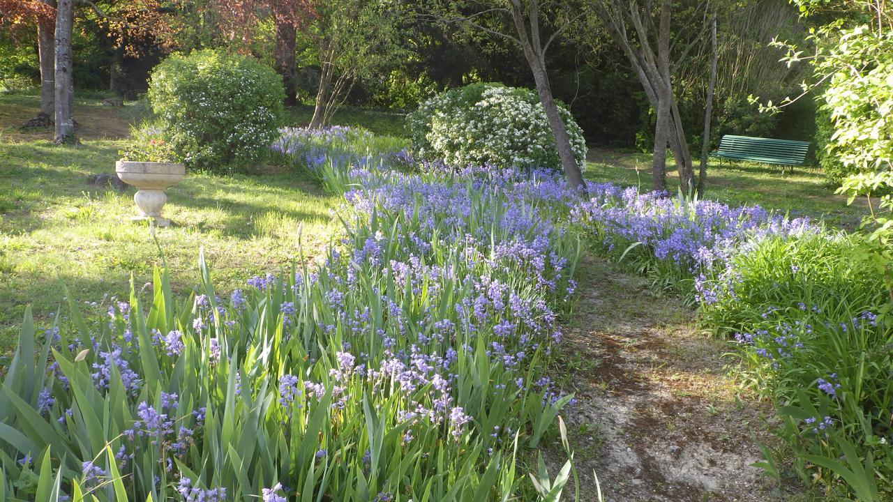 Le Manoir De La Baldette Bed and Breakfast Gennes-Val-de-Loire Buitenkant foto