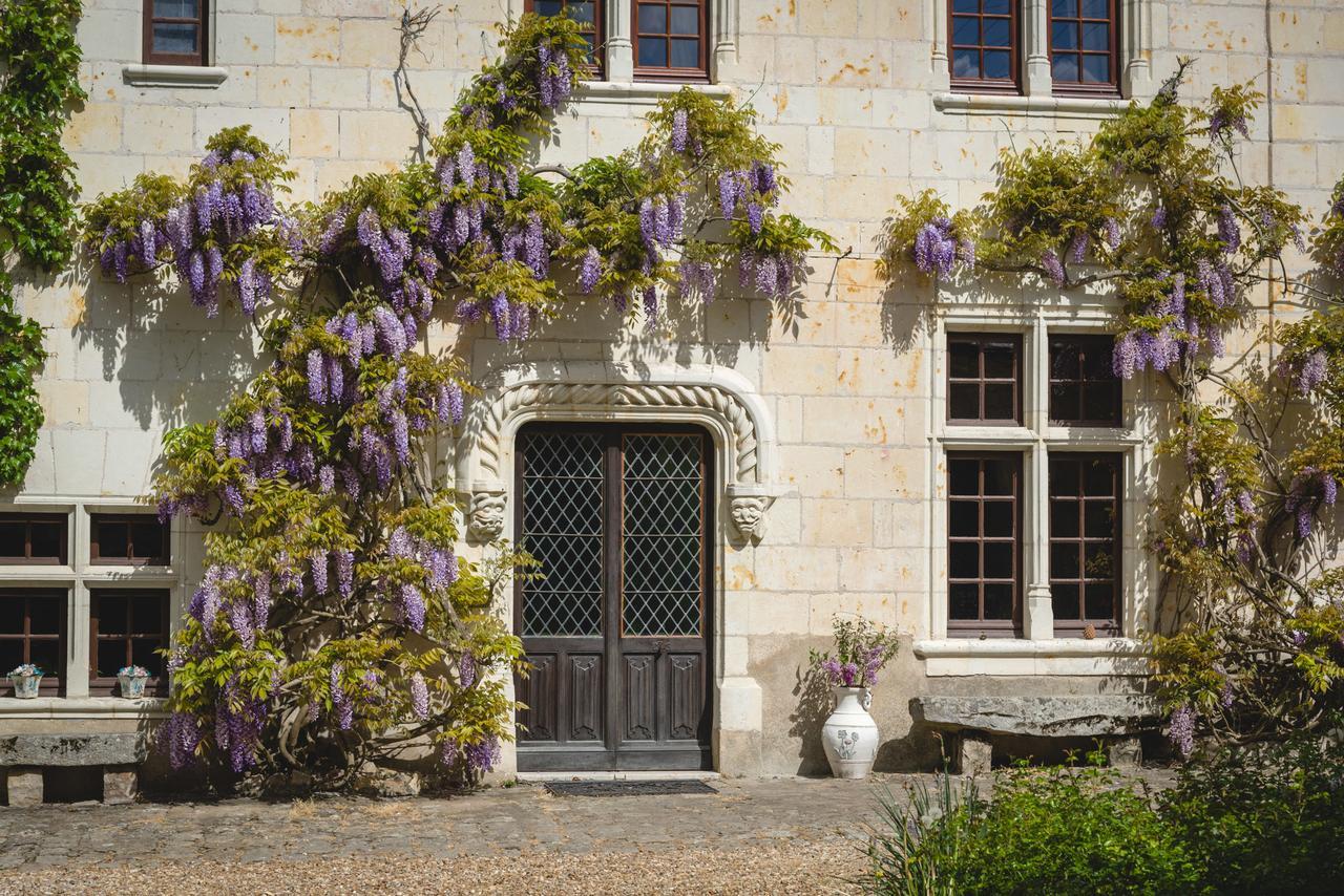 Le Manoir De La Baldette Bed and Breakfast Gennes-Val-de-Loire Buitenkant foto