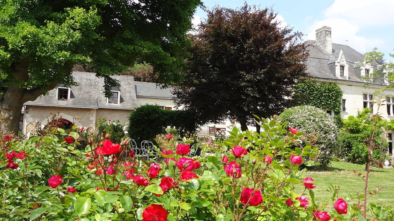Le Manoir De La Baldette Bed and Breakfast Gennes-Val-de-Loire Buitenkant foto