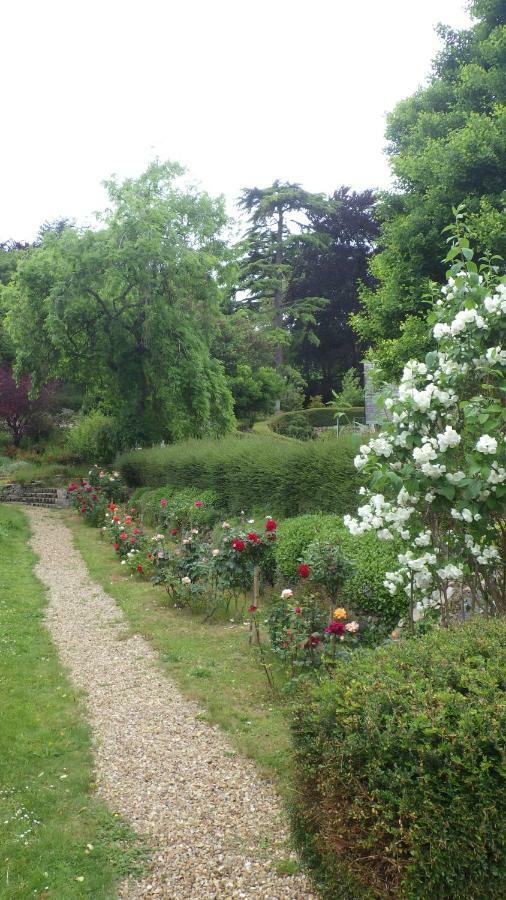 Le Manoir De La Baldette Bed and Breakfast Gennes-Val-de-Loire Buitenkant foto