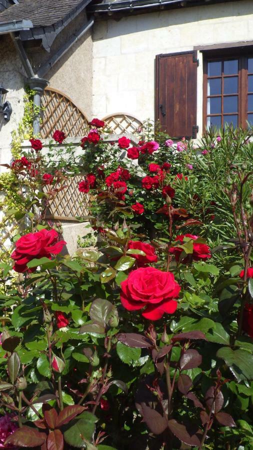 Le Manoir De La Baldette Bed and Breakfast Gennes-Val-de-Loire Buitenkant foto