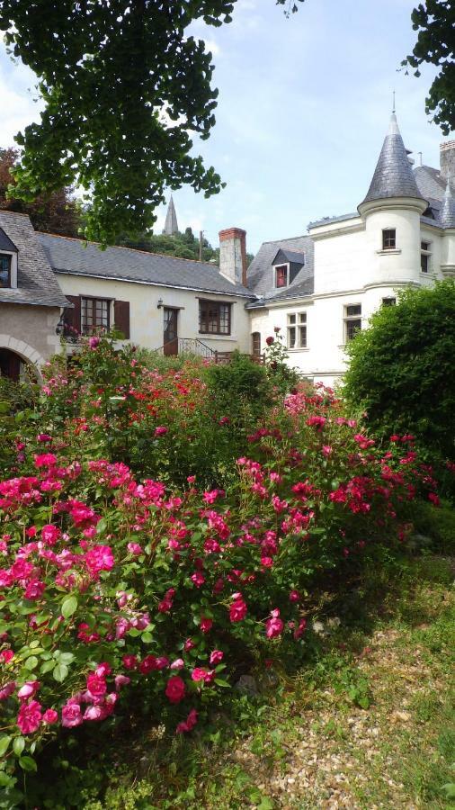 Le Manoir De La Baldette Bed and Breakfast Gennes-Val-de-Loire Buitenkant foto