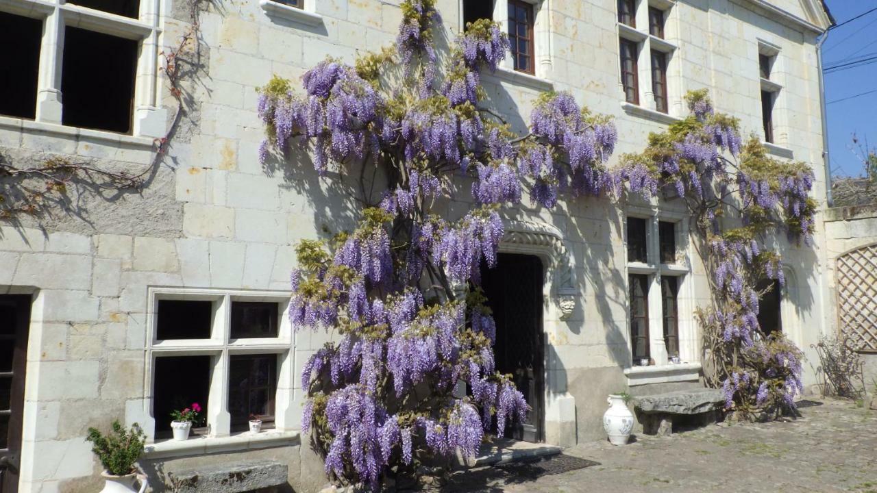 Le Manoir De La Baldette Bed and Breakfast Gennes-Val-de-Loire Buitenkant foto